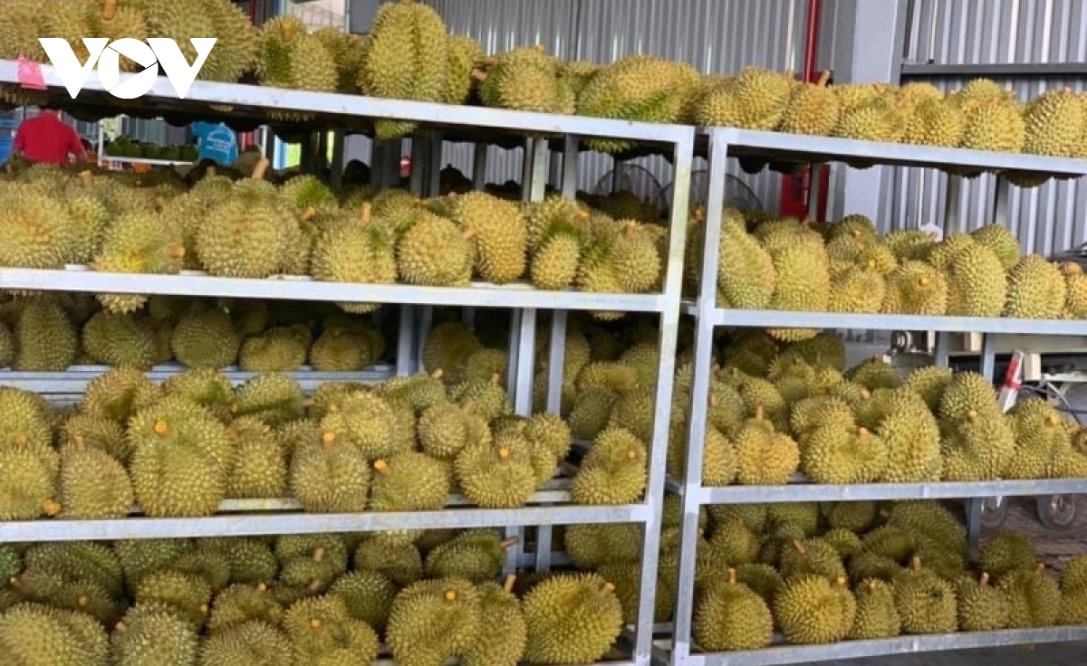 Fruit and vegetable exports skyrocket